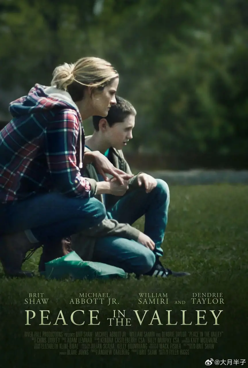 山谷里的和平 海报