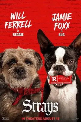 《流浪狗》：命运的齿轮能否转动？探讨孤独灵魂的《穿越》与《特殊受害者》困境